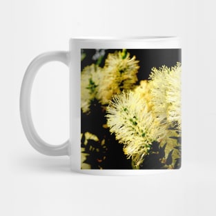 Scented Paperbark Mug